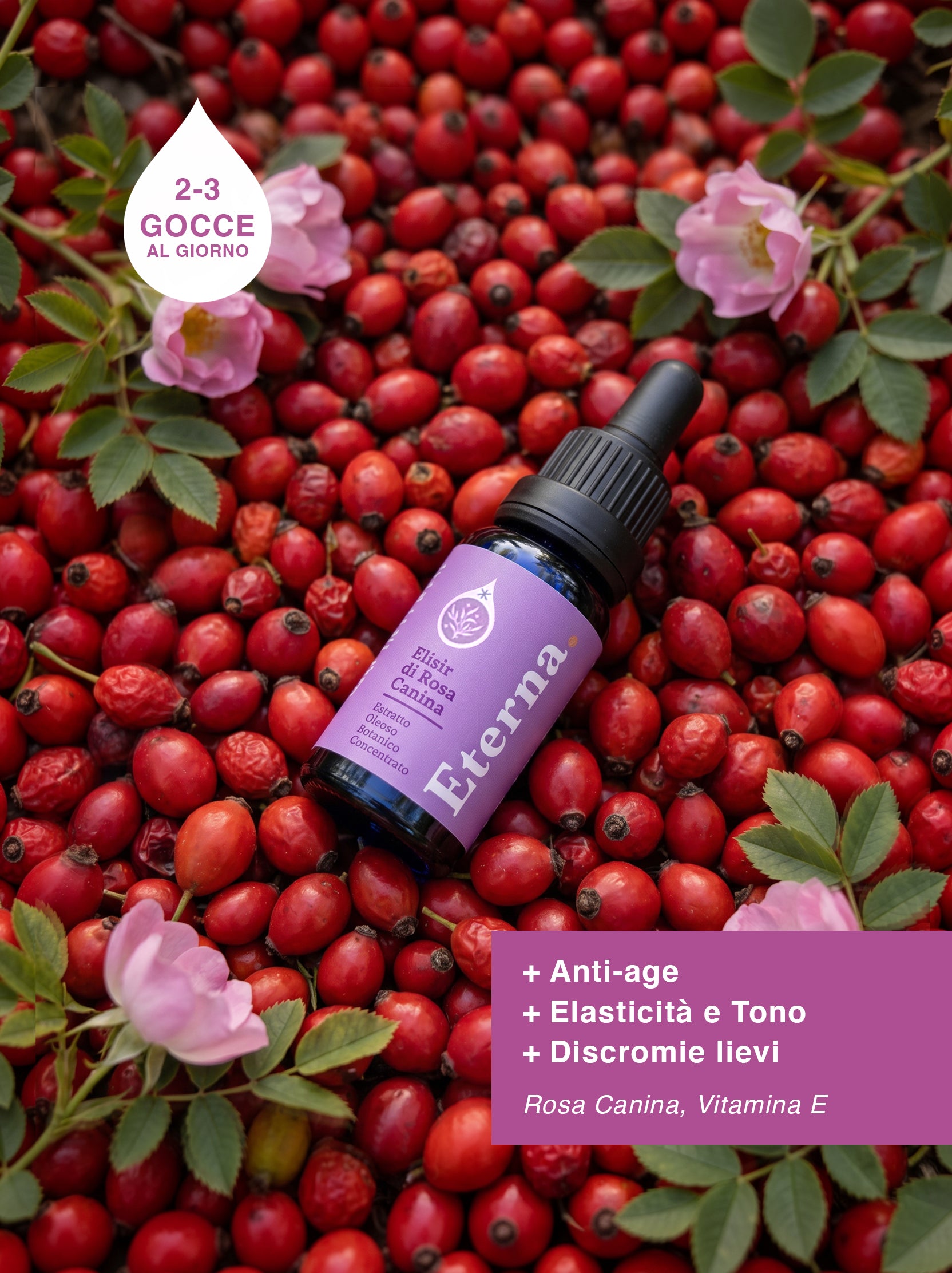 Elisir Concentrato di Rosa Canina "Eterna." - Rigenerante
